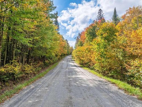 Land/Lot - Ch. Brunette, Lac-Supérieur, QC 