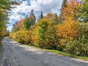 Land/Lot - Ch. Brunette, Lac-Supérieur, QC 