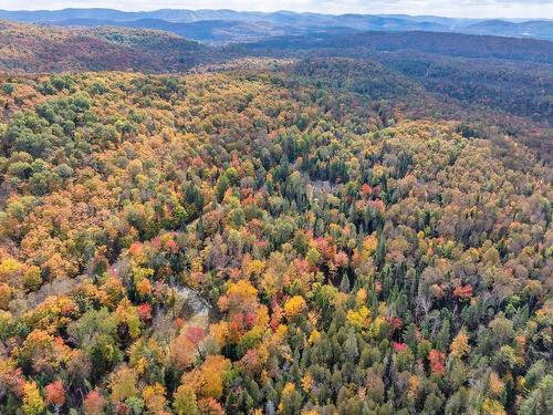 Overall view - Ch. Brunette, Lac-Supérieur, QC 