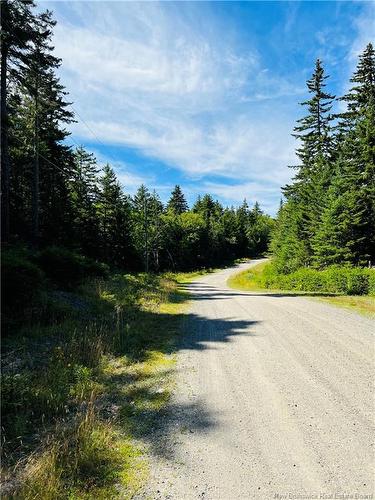 Lot 12 Fiander Rd, Bocabec, NB 