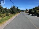 159 Seaforest Drive, Cupids, NL 