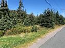 147 - 149 Seaforest Drive, Cupids, NL 