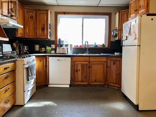 13 George Street N, Kawartha Lakes (Omemee), ON - Indoor Photo Showing Kitchen With Double Sink