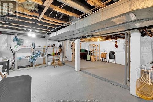 877 Hall Avenue, Windsor, ON - Indoor Photo Showing Basement