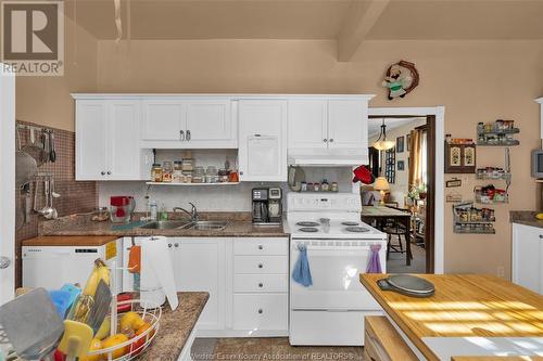 877 Hall Avenue, Windsor, ON - Indoor Photo Showing Kitchen With Double Sink