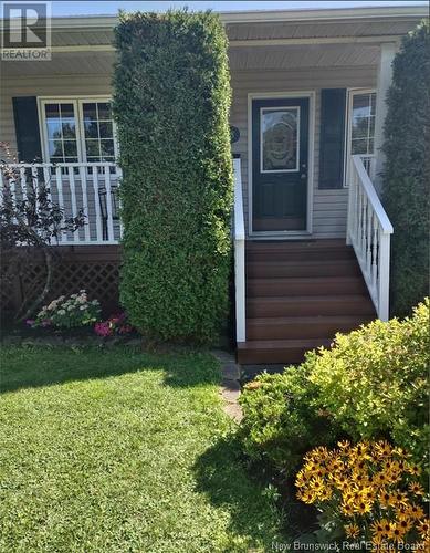 108 Leisure Avenue, Fredericton, NB - Outdoor With Deck Patio Veranda