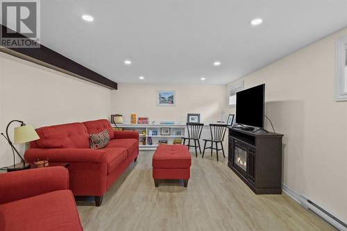 50 Quidi Vidi Village Road, St. John'S, NL - Indoor Photo Showing Living Room With Fireplace