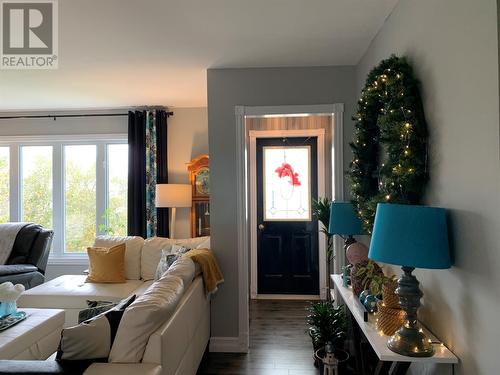 12 Longs Hill, Old Perlican, NL - Indoor Photo Showing Living Room