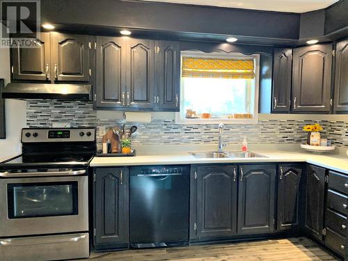 12 Longs Hill, Old Perlican, NL - Indoor Photo Showing Kitchen With Double Sink