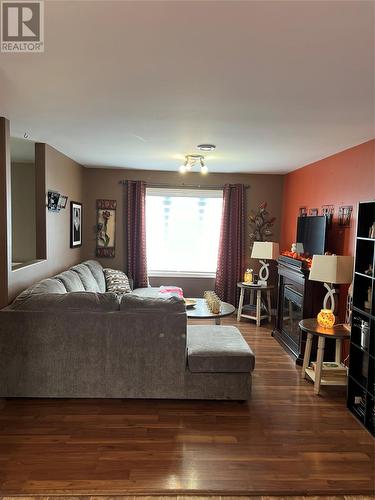 63 Dunns Hill Road, Foxtrap, NL - Indoor Photo Showing Living Room