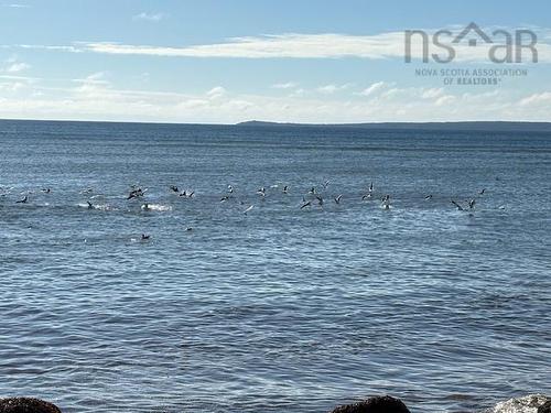 133 The Point Road, Blue Rocks, NS 