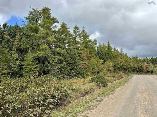 Lot 15 Walkerville Road, Walkerville, NS 