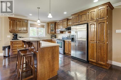 120 Whitbourne Ave Extension, Whitbourne, NL - Indoor Photo Showing Kitchen