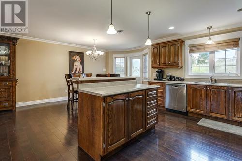 120 Whitbourne Ave Extension, Whitbourne, NL - Indoor Photo Showing Kitchen