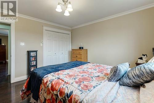 120 Whitbourne Ave Extension, Whitbourne, NL - Indoor Photo Showing Bedroom