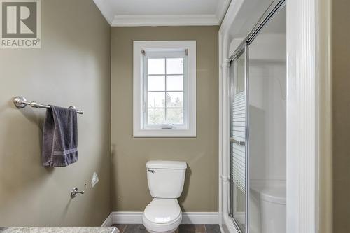 120 Whitbourne Ave Extension, Whitbourne, NL - Indoor Photo Showing Bathroom