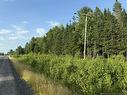 20 Acres Main St, Blackville, NB 