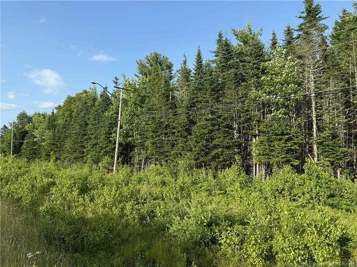 20 Acres Main St, Blackville, NB 