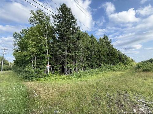 20 Acres Main St, Blackville, NB 