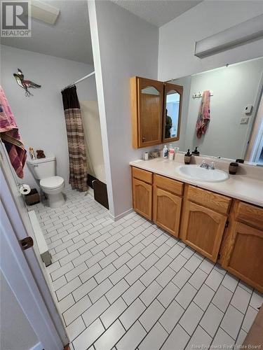 20 Bateman Avenue, Edmundston, NB - Indoor Photo Showing Bathroom