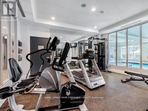 111 - 28 William Carson Crescent, Toronto, ON - Indoor Photo Showing Gym Room