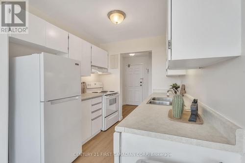 1010 - 600 Grenfell Drive, London, ON - Indoor Photo Showing Kitchen With Double Sink