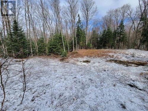 Lot 101 Basshaunt Lake Road, Dysart Et Al, ON 