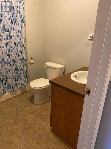 6 Freshwater Road, Summerford, NL - Indoor Photo Showing Bathroom