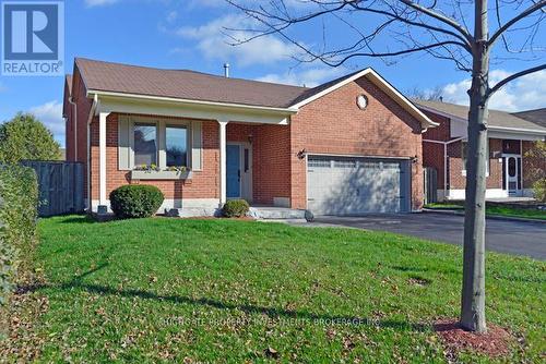 221 Sheffield Street, Newmarket, ON - Outdoor