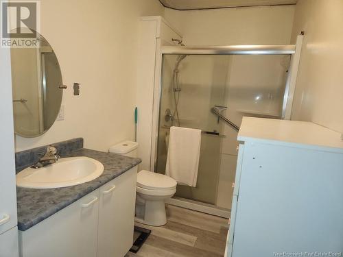 1043 Principale Street, Saint-Basile, NB - Indoor Photo Showing Bathroom