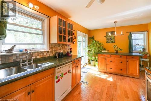 29 Mcclary Avenue, London, ON - Indoor Photo Showing Kitchen With Double Sink