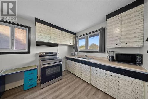 1157-1159 Paquette Street, Greater Sudbury, ON - Indoor Photo Showing Kitchen With Double Sink