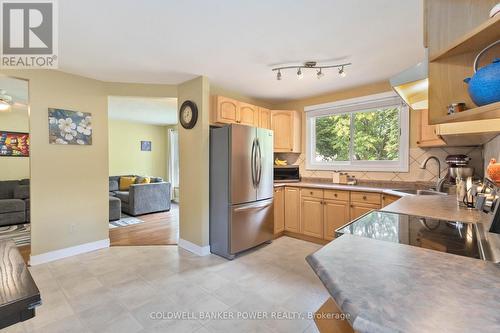 38 Barrett Crescent, London, ON - Indoor Photo Showing Kitchen With Double Sink