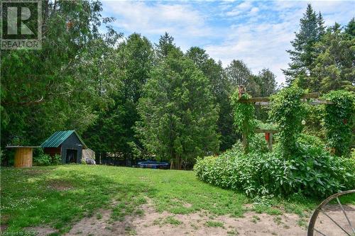 384701 Concession 4 Road, West Grey, ON - Outdoor