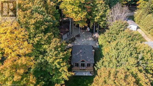 173 Macdonalds Road, Grey Highlands, ON - Outdoor With View