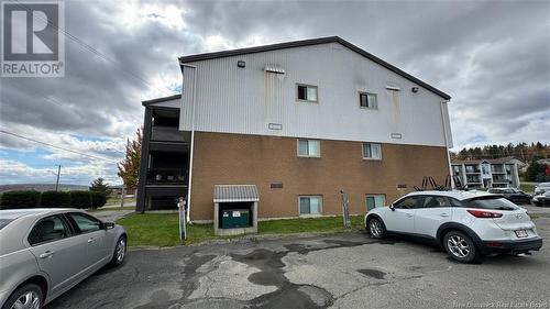 17 Carrier Street, Edmundston, NB -  Photo Showing Garage