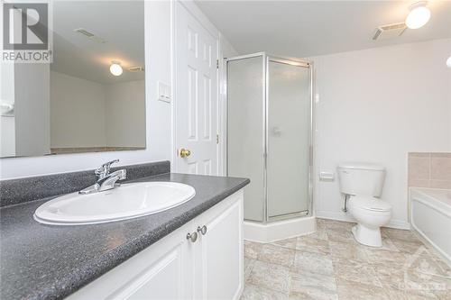 242 Gershwin Private, Ottawa, ON - Indoor Photo Showing Bathroom