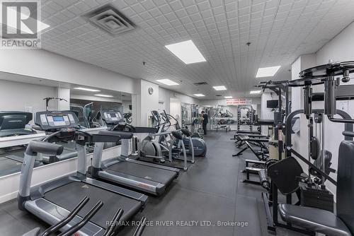 227 - 300 Manitoba Street, Toronto, ON - Indoor Photo Showing Gym Room