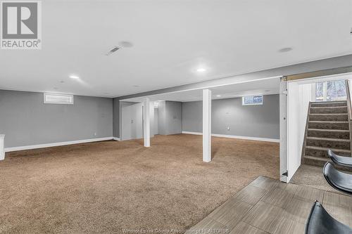 920 Roselawn Drive, Windsor, ON - Indoor Photo Showing Basement