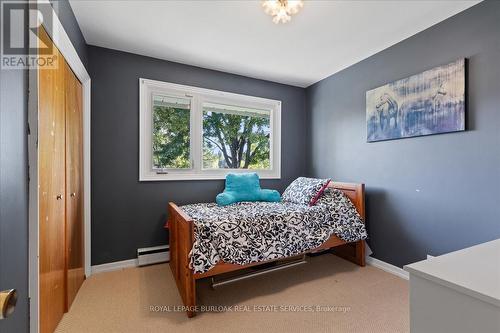 11720 Guelph Line, Milton, ON - Indoor Photo Showing Bedroom