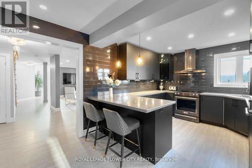 113 Sandmere Avenue, Brampton, ON - Indoor Photo Showing Kitchen With Double Sink With Upgraded Kitchen