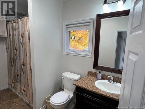 481 Main Street, Grand-Sault/Grand Falls, NB - Indoor Photo Showing Bathroom