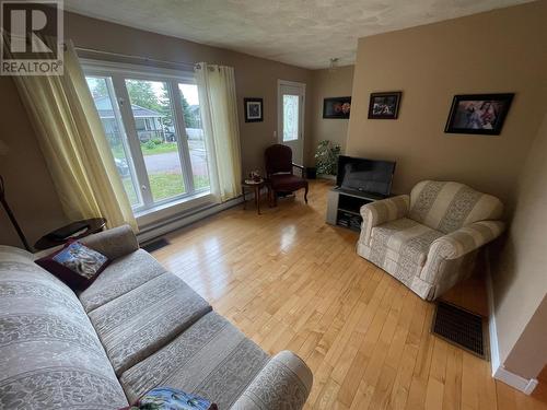 5 Sapling Street, Grand Falls Windsor, NL - Indoor Photo Showing Living Room