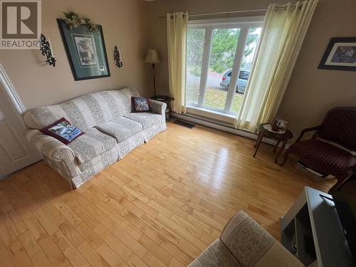 5 Sapling Street, Grand Falls Windsor, NL - Indoor Photo Showing Living Room