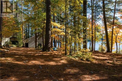 3138 Sturgeon Lake Road, Mattawa, ON - Outdoor With View