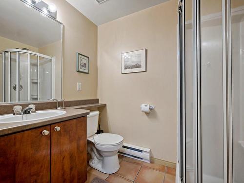 Bathroom - 1756 Ch. Du Golf, Mont-Tremblant, QC - Indoor Photo Showing Bathroom