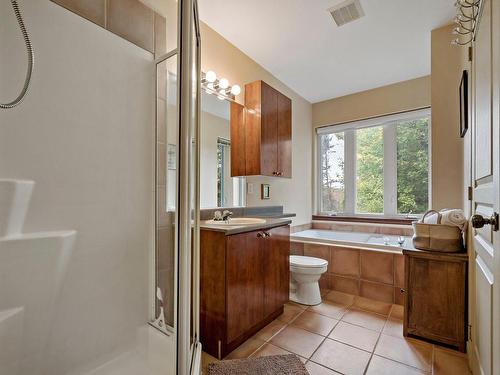 Bathroom - 1756 Ch. Du Golf, Mont-Tremblant, QC - Indoor Photo Showing Bathroom