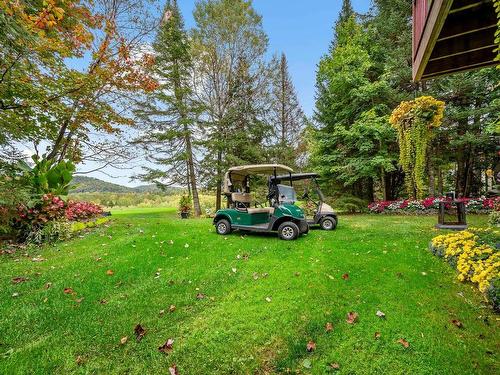 Backyard - 1756 Ch. Du Golf, Mont-Tremblant, QC - Outdoor