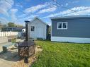 Cour - 32 Rue Des Ormes, Montmagny, QC  - Outdoor 