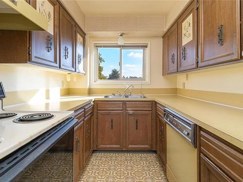 401-36 South Turner St, Victoria, BC - Indoor Photo Showing Kitchen With Double Sink